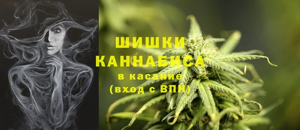 apvp Вязники