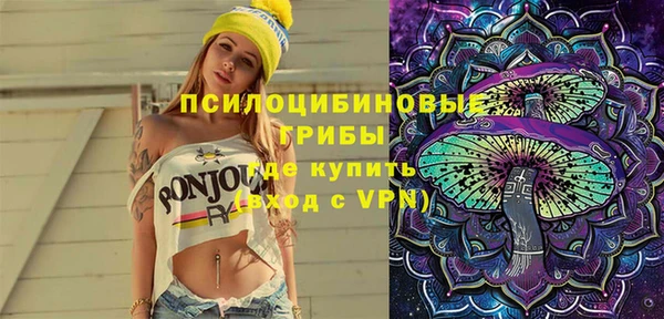 apvp Вязники