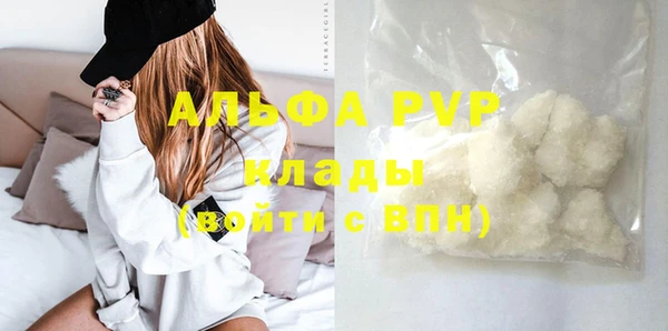 прущие грибы Вяземский