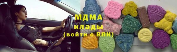 прущие грибы Вяземский