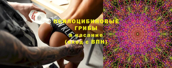 apvp Вязники