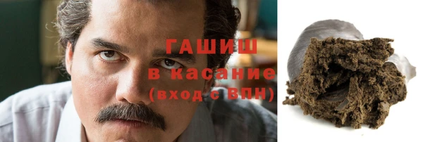 прущие грибы Вяземский