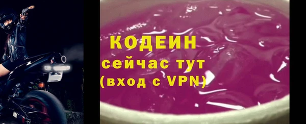 прущие грибы Вяземский