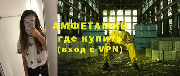 прущие грибы Вяземский