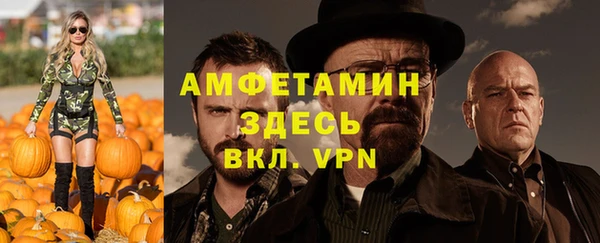 прущие грибы Вяземский