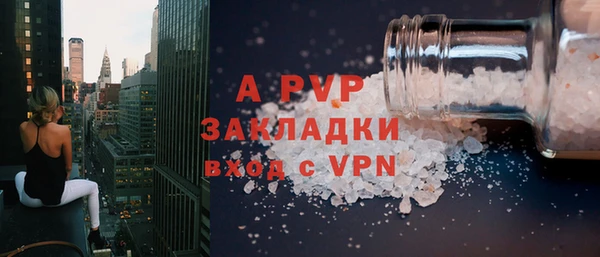прущие грибы Вяземский