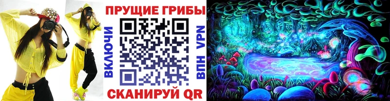 Псилоцибиновые грибы мицелий  закладки  Каменск-Уральский 